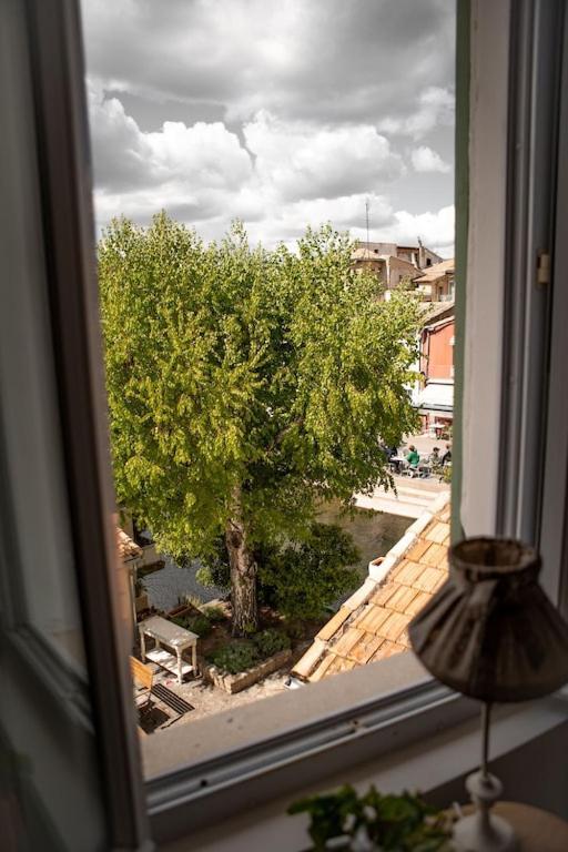 La Maison Du Bassin LʼIsle-sur-la-Sorgue Exteriér fotografie